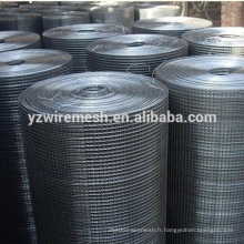 Hot Sales 2x2 Galvanized Iron Wire Mesh / Mesh soudé en rouleaux / panneaux